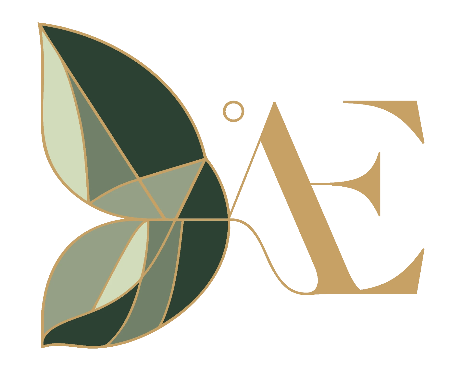 Logo Dra. Andreia Esteves